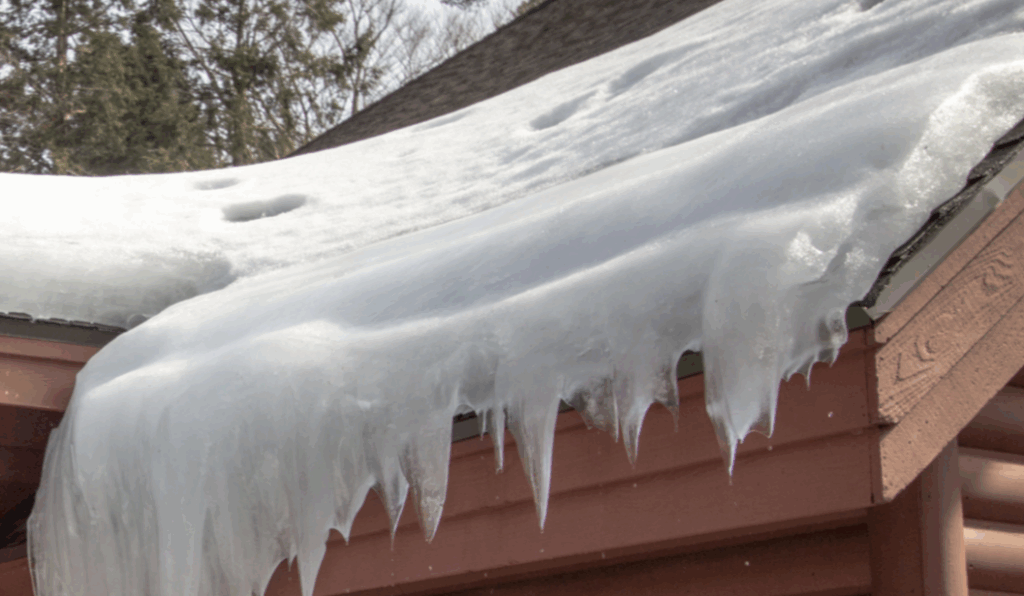 ice dams expert in Minnesota