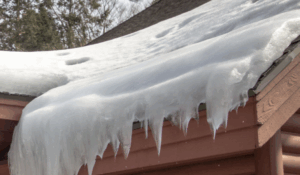 ice dams expert in Minnesota