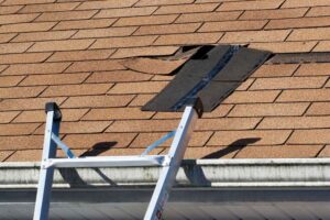 Storm Damage Repair Expert in Twin Cities