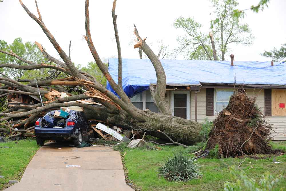 Storm Damage Repair Expert in Twin Cities