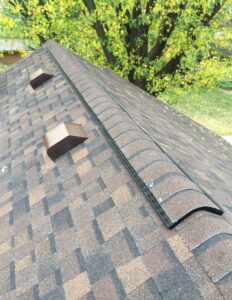 asphalt shingle roof lifespan in Minnesota